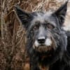 Mariechen sucht ein Zuhause