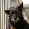 Mariechen sucht ein Zuhause