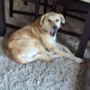 Peggy sucht eine liebe Famillie