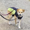 Peggy sucht eine liebe Famillie
