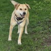 Peggy sucht eine liebe Famillie