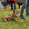 NISHA sucht eine aktive Familie
