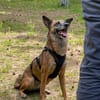 NISHA sucht eine aktive Familie