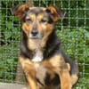 Kleine Klara sucht liebevolles Zuhause