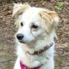 SWEETY will endlich leben dürfen