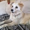 SWEETY will endlich leben dürfen