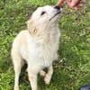 SWEETY will endlich leben dürfen