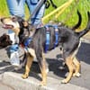 Tina wartet auf ihre Menschen