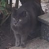 BLUE sucht sein Zuhause