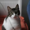 Tiny, lebenslustiger Herzensbrecher, 11M