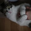 Tiny, lebenslustiger Herzensbrecher, 11M