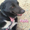 Paola - lernwillig und bewegungsfreudig