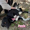 Paola - lernwillig und bewegungsfreudig