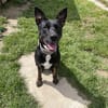 XENA