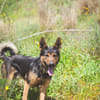 KIKO (Los Reyes)