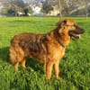 OTTO (Martina)