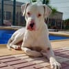 OLAF (Martina)
