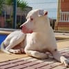 OLAF (Martina)