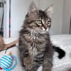 BIOUL ET BIOULA A ADOPTER ENSEMBLE