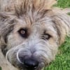 Tucker, 1 Jahr braucht seine Menschen