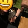 Bobby - hofft auf seine zweite Chance