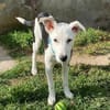 Mable sucht eine Familie