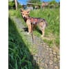 Maria - wartet in 38271 Baddeckenstedt
