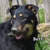 BETTI