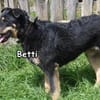 BETTI