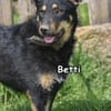 BETTI