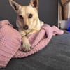Die liebe Frieda sucht ihr Zuhause