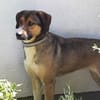 ♥Dave♥ wartet schon in 68809 Neulussheim