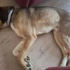 ♥Dave♥ wartet schon in 68809 Neulussheim