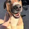♥Dave♥ wartet schon in 68809 Neulussheim