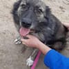 Ritch 🐾❤möchte sich mal wieder melden