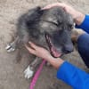 Ritch 🐾❤möchte sich mal wieder melden