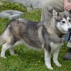 Hanna sucht liebe Menschen
