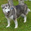 Hanna sucht liebe Menschen