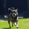 Yacky sucht sein Zuhause