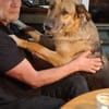 Liebenswürdige Familienhündin Lilli