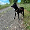 Glücksbringerin Onyx
