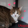 UTOPIA