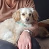 CHARLIE