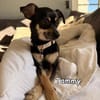 Tammy & Luna