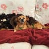 MIMI - liebt die Menschen