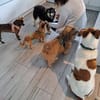 MIMI - liebt die Menschen
