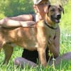 Maddox sucht dich!