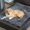 Sanela, 4 Monate, sucht Anschluss