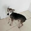 Omi Luna