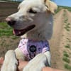 Bildhübsche SUNNY auf Familiensuche !